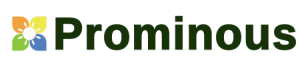 Prominous Innovations Logo